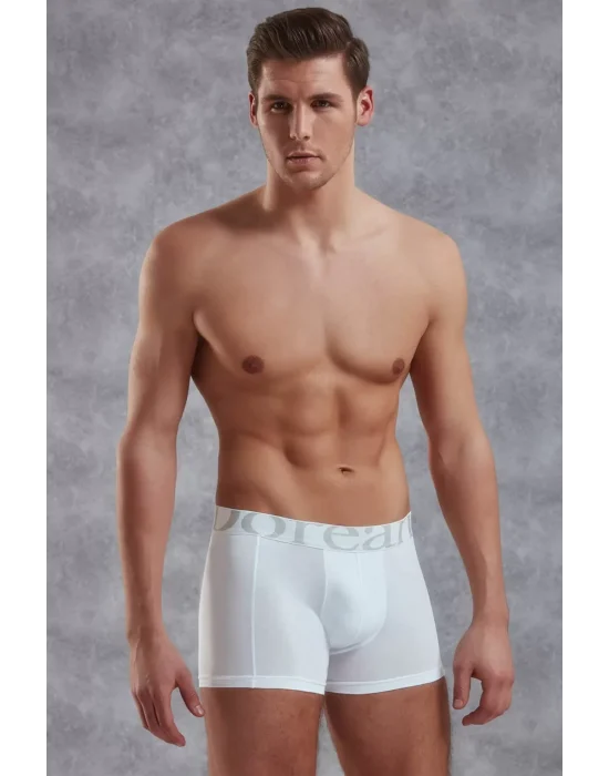 Doreanse 1777 Erkek Modal Torbalı Normal Paça Boxer