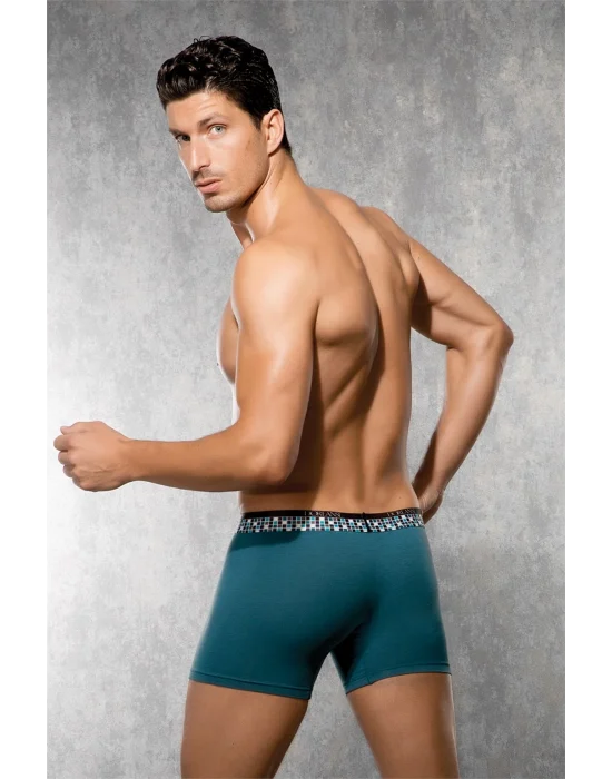Doreanse 1710 Erkek Modal Zümrüt Torbalı Normal Paça Boxer