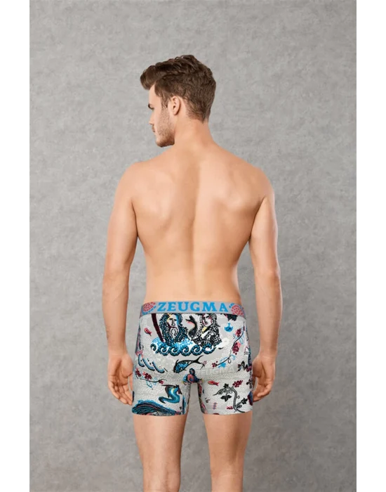Doreanse 1806 Erkek Modal Çok Renkli Baskılı Torbalı Normal Paça Boxer