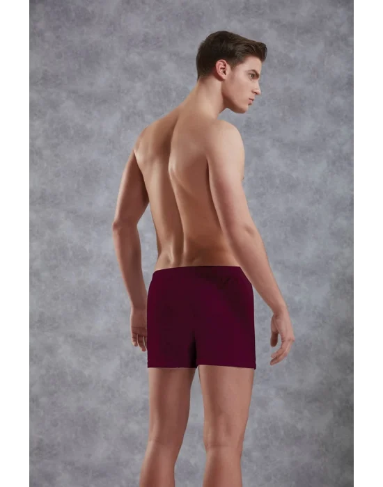 Doreanse 1511 Erkek Penye Boxer