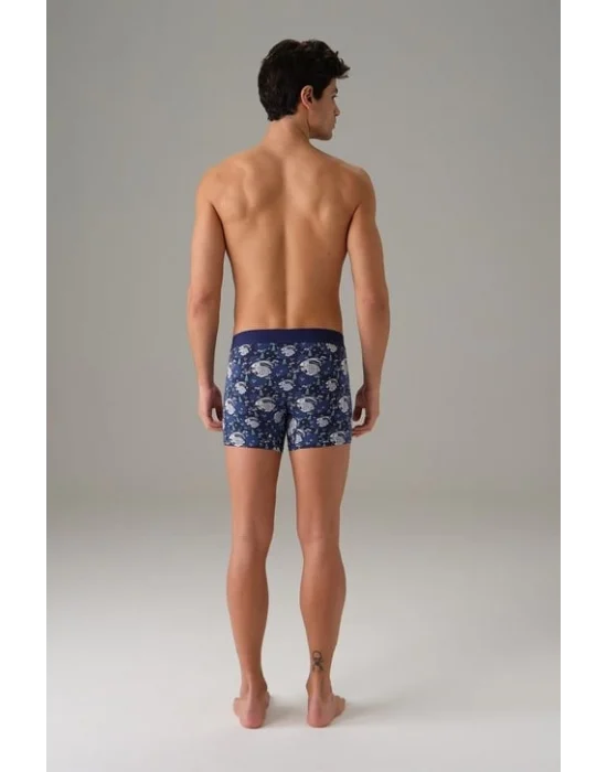 Doreanse 1732 Erkek Tavşan Desenli Boxer