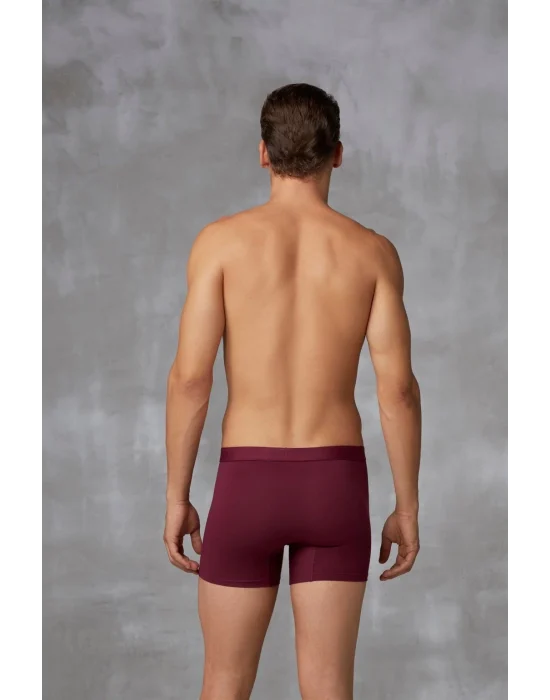 Doreanse 1742 Erkek Pamuklu Çok Renkli 3lü Boxer