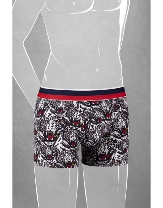Doreanse 610 Erkek Çocuk Boxer