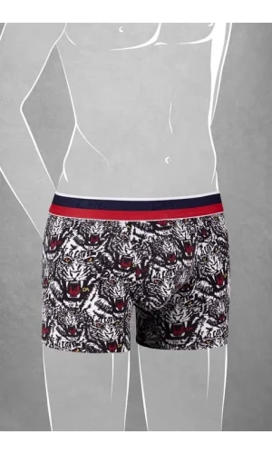 Doreanse 610 Erkek Çocuk Boxer