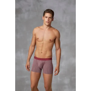 Doreanse 1866 Erkek Modal Çizgi Desenli Normal Paça Boxer