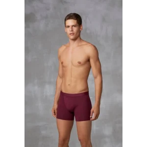 Doreanse 1742 Erkek Pamuklu Çok Renkli 3lü Boxer