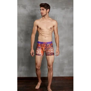 Doreanse 1824 Rug Imprime Erkek Boxer