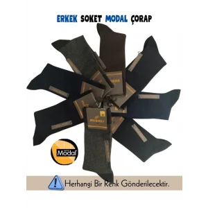 Mısırlı 61009 Erkek Modal Soket Çorap