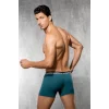 Doreanse 1710 Erkek Modal Zümrüt Torbalı Normal Paça Boxer