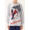 Marvel D4835-3 Spıder-Man  Erkek Çocuk İkili Takım