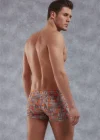Doreanse 1895 Erkek Modal Çok Renkli Baskılı Torbalı Normal Paça Boxer