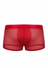 Doreanse 1588 Erkek Fileli Boxer