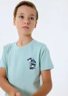 RolyPoly 3813-G Erkek Çocuk Kısa Kol Pijama Takımı
