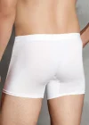 Doreanse 1500 Erkek Boxer