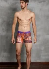 Doreanse 1824 Rug Imprime Erkek Boxer