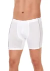 Star 101 Modal Biyeli Erkek Boxer
