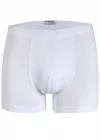 Star 103 Erkek  Modal Boxer