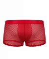 Doreanse 1588 Erkek Fileli Boxer