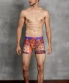 Doreanse 1824 Rug Imprime Erkek Boxer