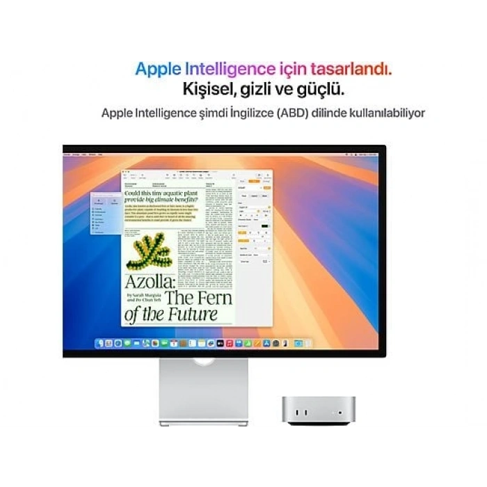 APPLE Mac mini: Apple M4 chip with 10‑core CPU and 10‑core GPU, 16GB, 256GB SSD