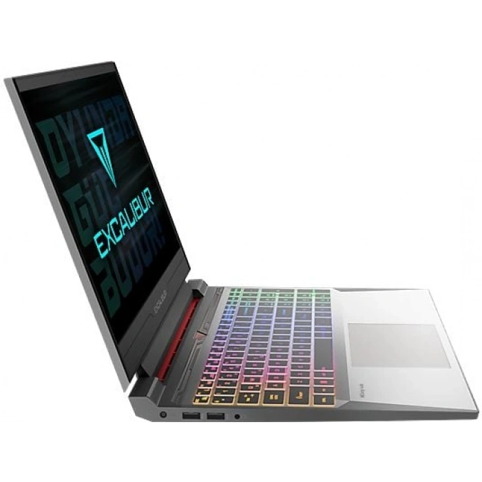 CASPER G870.1362-DQ60A-C /Intel Core i7 13620H/32 GB RAM/1 TB SSD/RTX5060/15.6/W11 Laptop