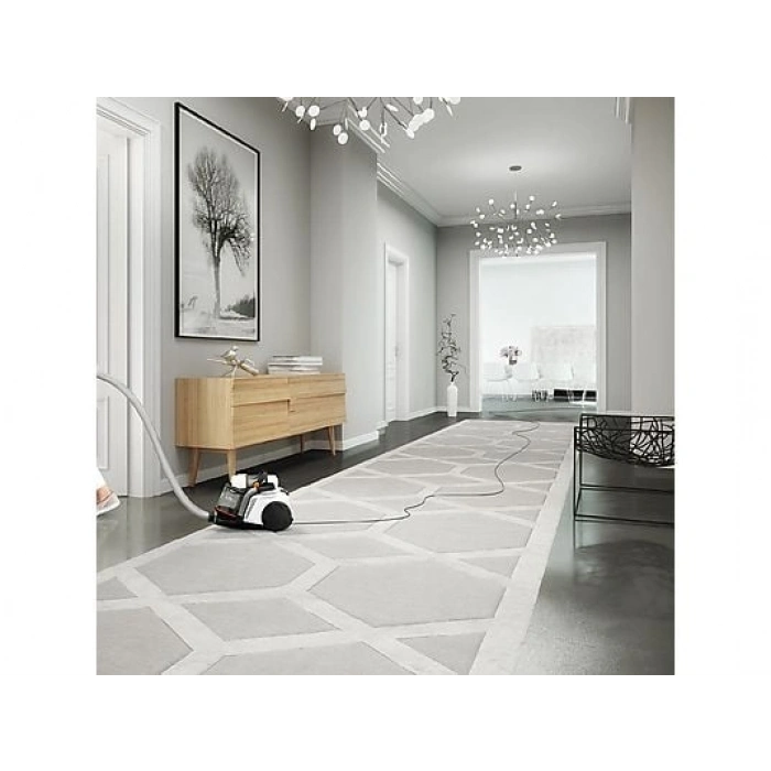 ELECTROLUX EUFC8ALRGY Ultra Flex Toz Torbasız Elektrikli Süpürge Beyaz