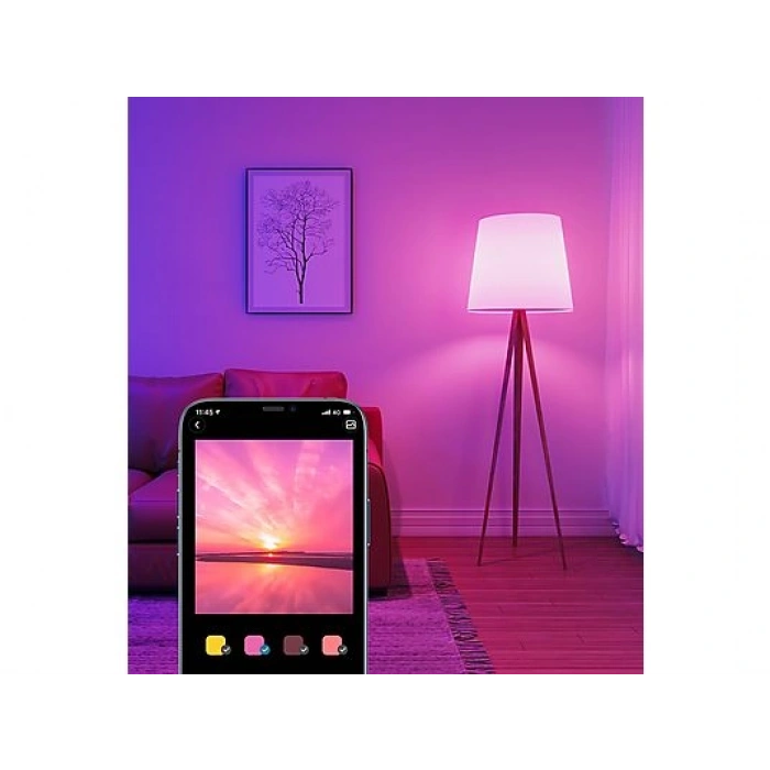 GOVEE Akıllı Ampul Wifi + BT (800 Lm)
