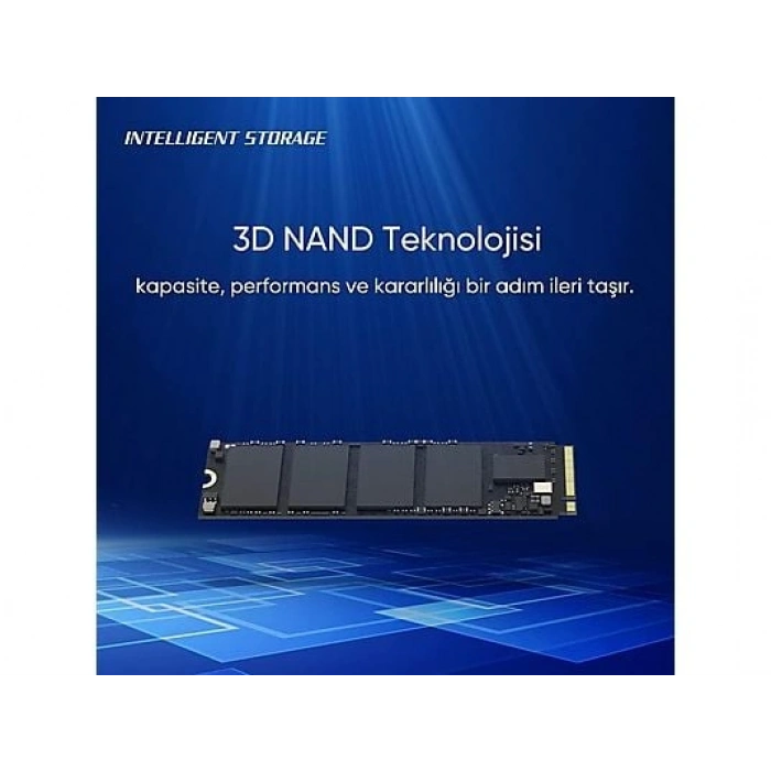 HIKVISION E3000 NVMe 512 GB Dahili SSD