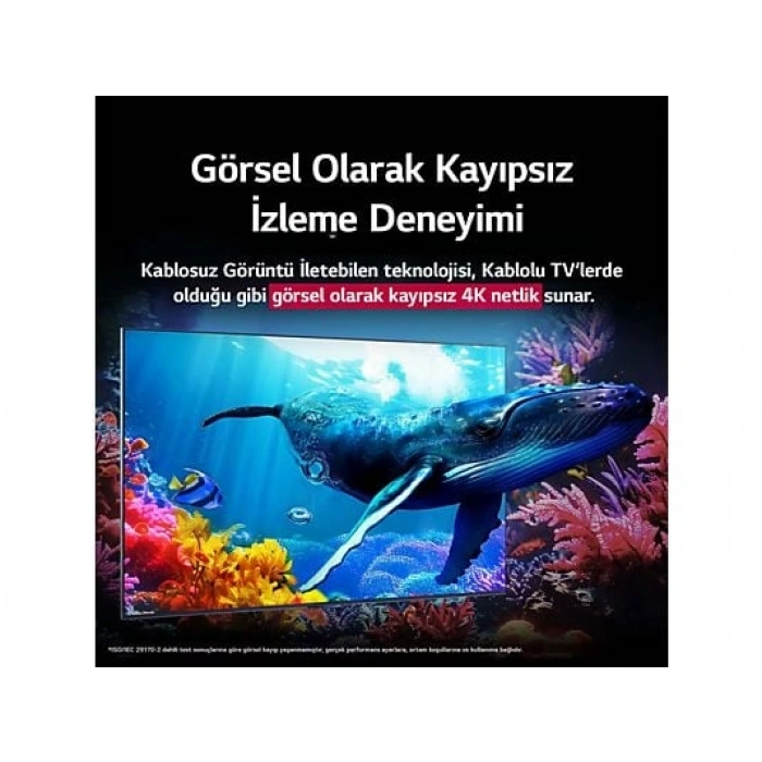 LG 65QNED9MA6B 65 inç 165 Ekran Uydu Alıcılı Smart Evo AI Mini LED 4K 144Hz Kablosuz Görüntü İletebilen QNED TV