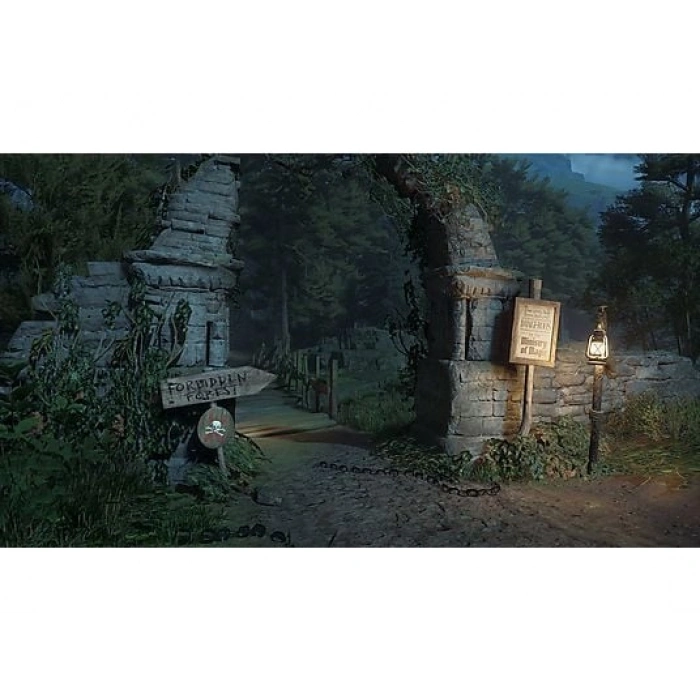 NINTENDO Hogwarts Legacy Switch 2 Oyun (Dijital Kod)