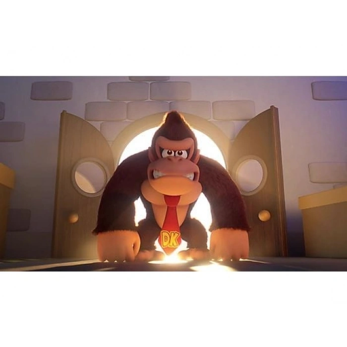 NINTENDO Mario vs Donkey Kong Switch Oyun