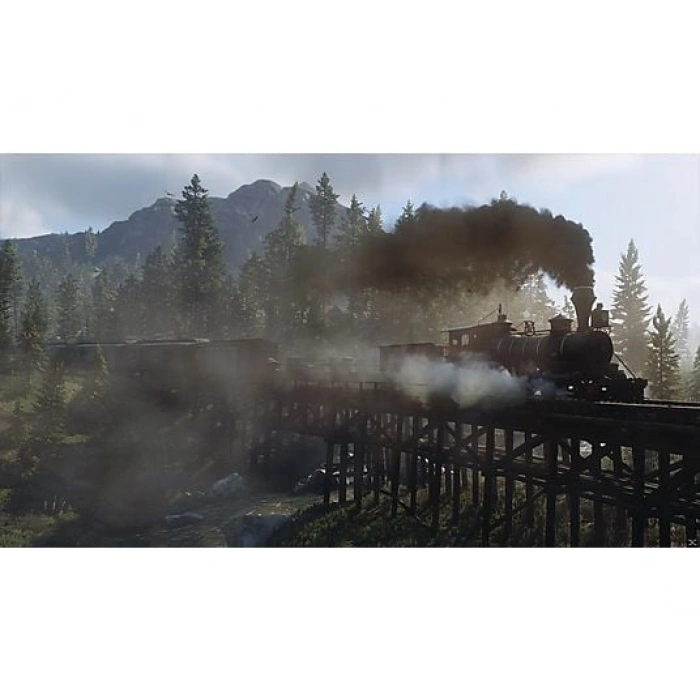 TAKE 2 Red Dead Redemption 2 PS4 Oyun