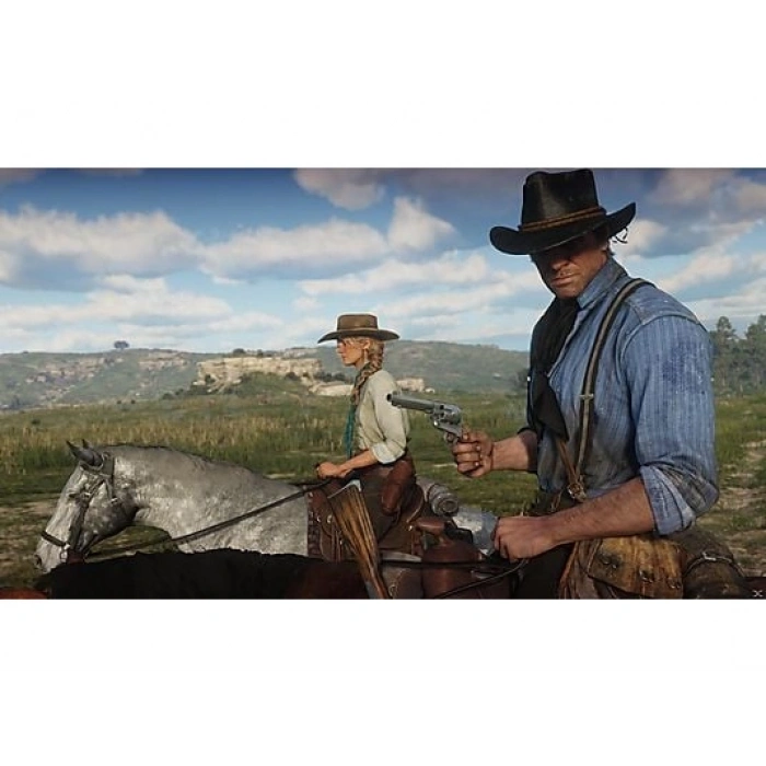 TAKE 2 Red Dead Redemption 2 PS4 Oyun