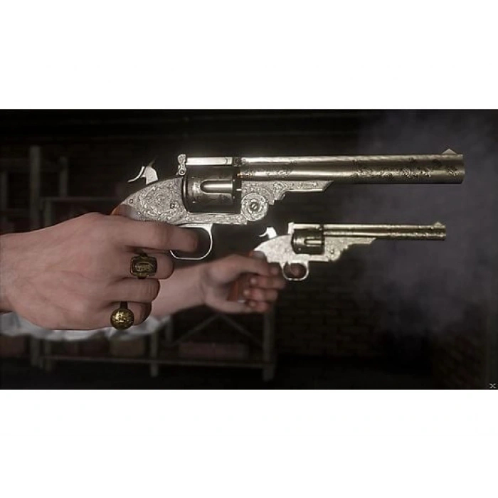 TAKE 2 Red Dead Redemption 2 PS4 Oyun