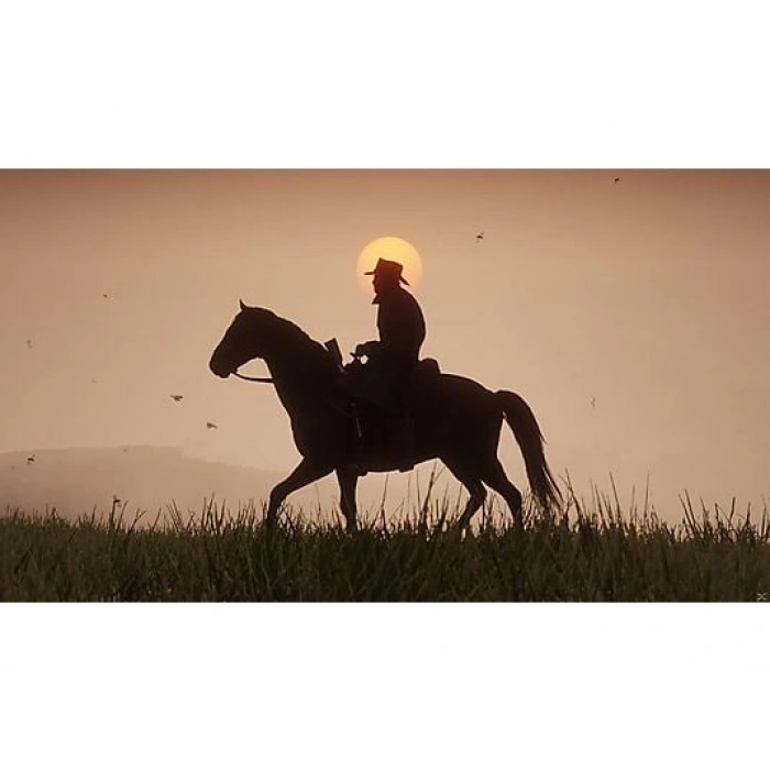 TAKE 2 Red Dead Redemption 2 PS4 Oyun