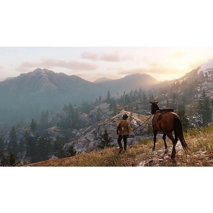 TAKE 2 Red Dead Redemption 2 PS4 Oyun