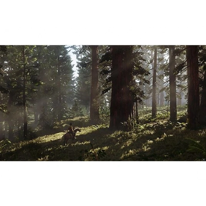 TAKE 2 Red Dead Redemption 2 PS4 Oyun