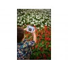 ACTON Instant Print Kamera (Mavi)