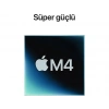 APPLE Mac mini: Apple M4 chip with 10‑core CPU and 10‑core GPU, 24GB, 512GB SSD