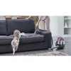 DYSON Cinetic Big Ball Absolute 2 Kablolu Elektrik Süpürgesi Gri