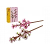 LEGO Botanicals Kiraz Çiçekleri 40725