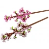 LEGO Botanicals Kiraz Çiçekleri 40725