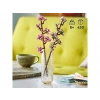 LEGO Botanicals Kiraz Çiçekleri 40725