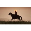 TAKE 2 Red Dead Redemption 2 PS4 Oyun