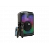 TORIMA BTS-2102 33 W Karaoke Subwoofer Çift Mikrofonlu Taşınabilir Akıllı Bluetooth Hoparlör Siyah