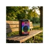 TORIMA BTS-2102 33 W Karaoke Subwoofer Çift Mikrofonlu Taşınabilir Akıllı Bluetooth Hoparlör Siyah