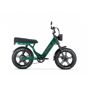 APE RYDER MD-10 Elektrikli Bisiklet