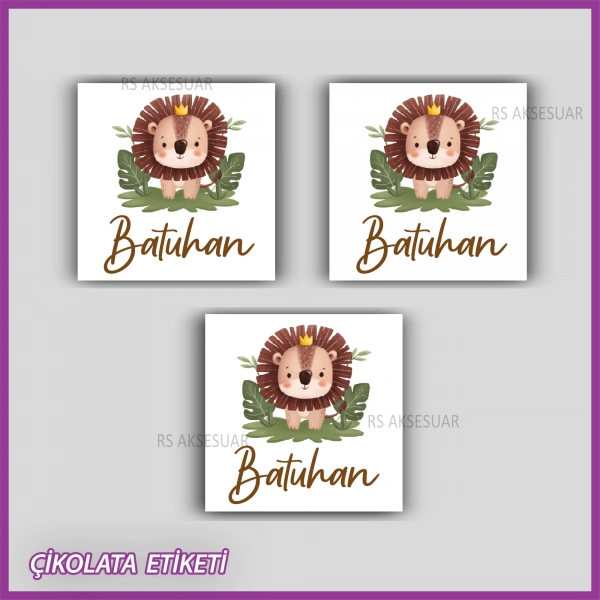 48 Adet - Bebek Çikolata İsim Etiketi - Sticker - CE146