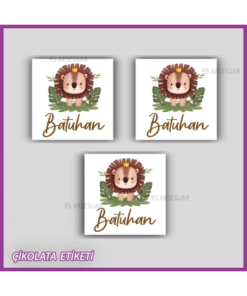 48 Adet - Bebek Çikolata İsim Etiketi - Sticker - CE146