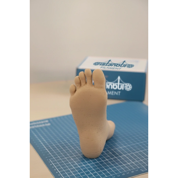 PLA + 500mms Ten Rengi1KG